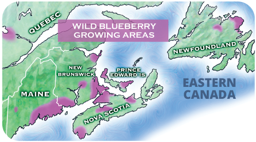 Map of Eastern Canada